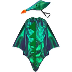 Dragon Costume><noscript><img width=