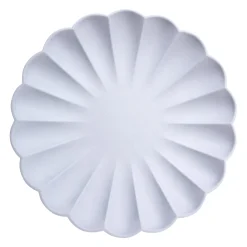 Large Multicolor Compostable Plates - Big Multipack (x 48)>Meri Meri Sale
