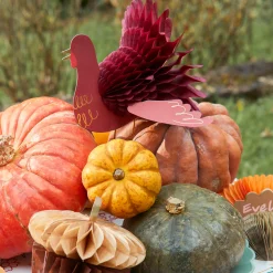 Mixed Thanksgiving Honeycomb Decorations (x 11)><noscript><img width=