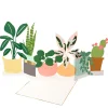 Potted Plant Card>Meri Meri New
