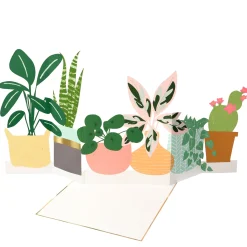 Potted Plant Card>Meri Meri New