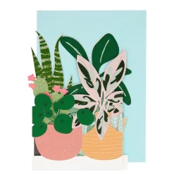 Potted Plant Card>Meri Meri New